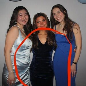 Elegant Blue Velvet Dress Le Chateau